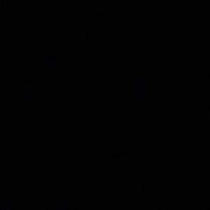 Meet your Posher, Noah